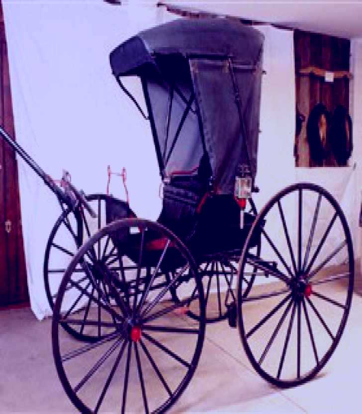SubjectCoach | Singleton Historical Society and Museum Inc