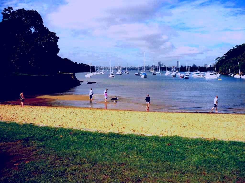 SubjectCoach | Sirius Cove