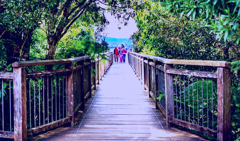 SubjectCoach | Skywalk lookout