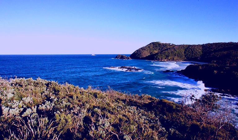 SubjectCoach | Smoky Cape walking track