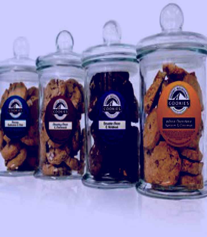 SubjectCoach | Snowy Mountains Cookies
