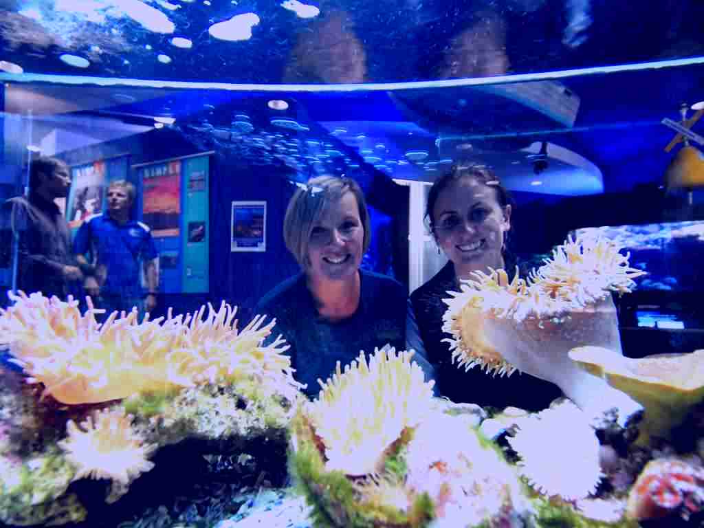 SubjectCoach | Solitary Islands Aquarium