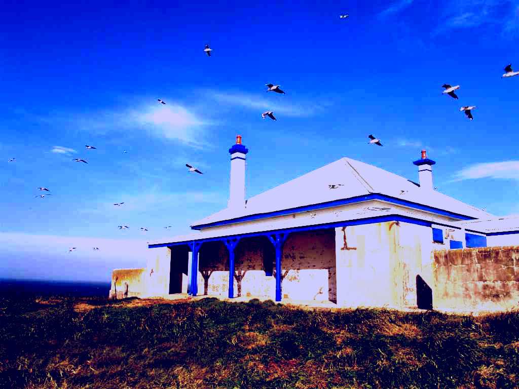 SubjectCoach | South Solitary Lighthouse
