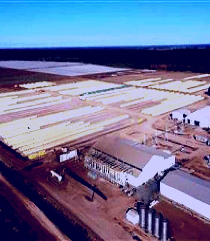 SubjectCoach | Southern Cotton Gin