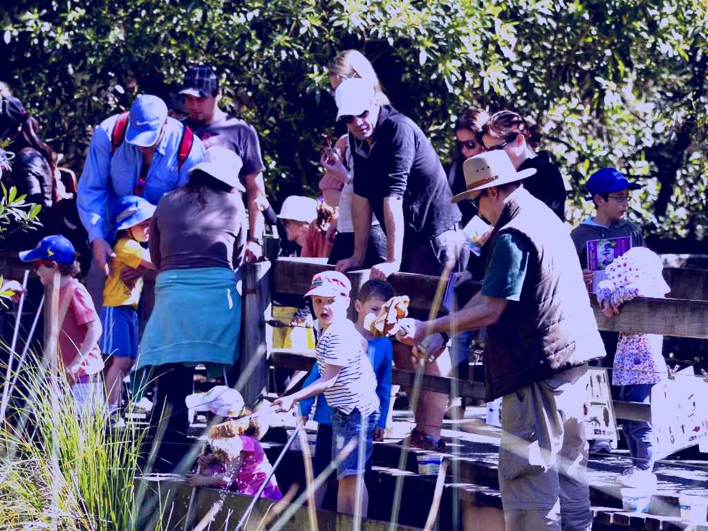 SubjectCoach | St Ives Precinct