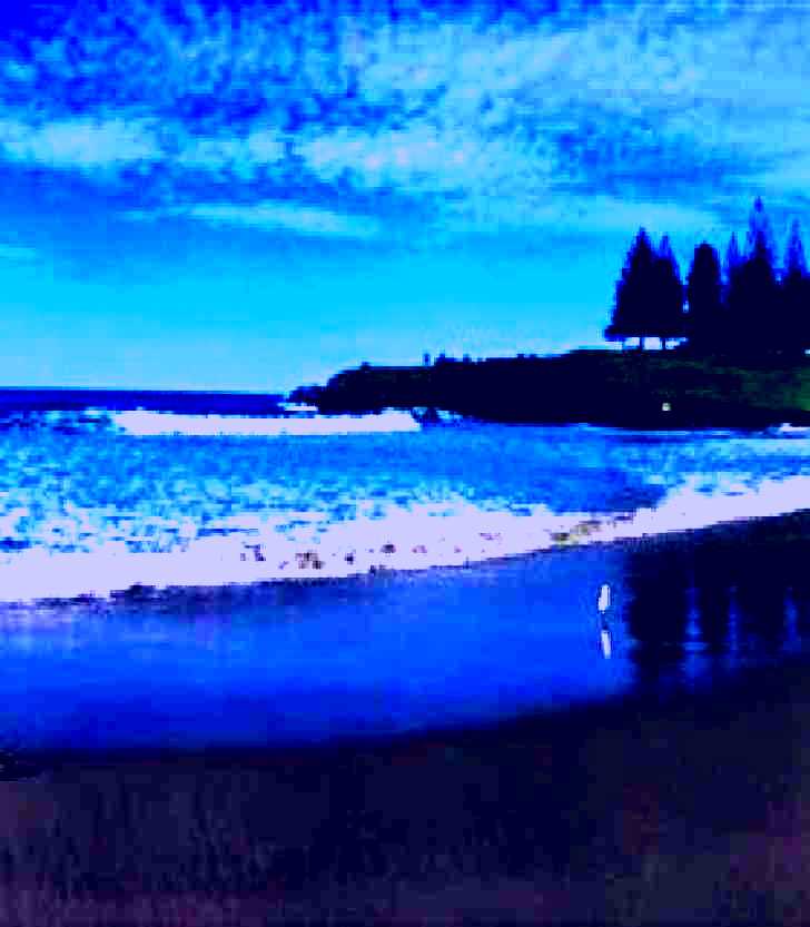SubjectCoach | Surf Beach Kiama