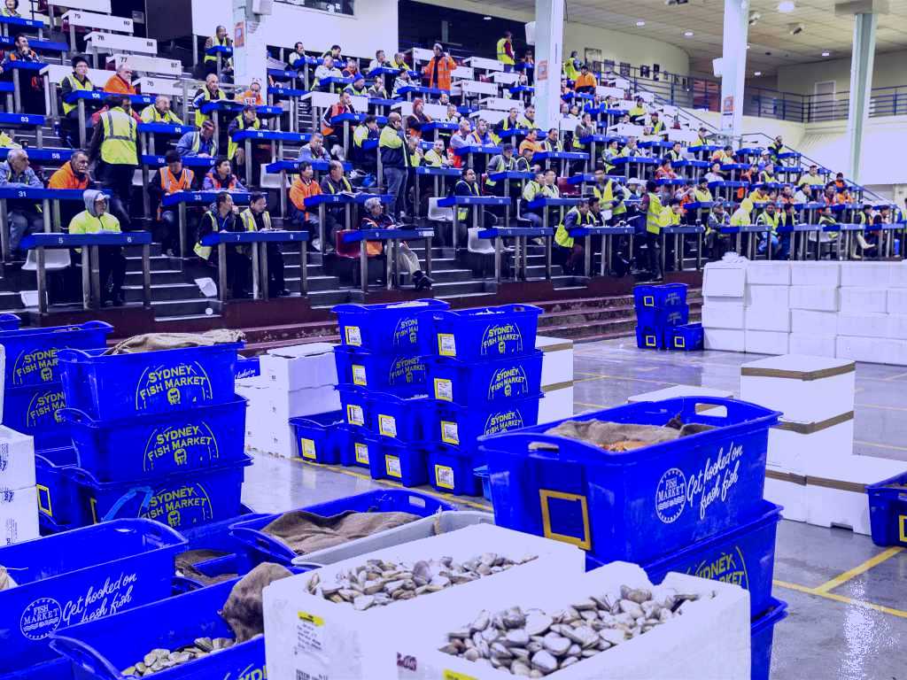 SubjectCoach | Sydney Fish Market