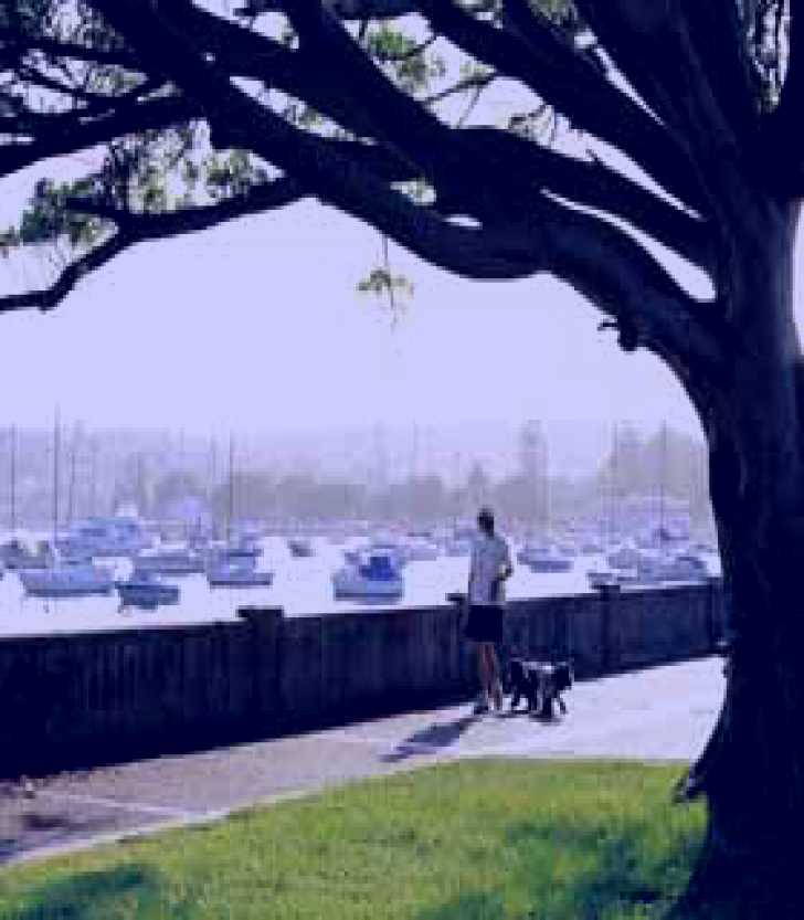 SubjectCoach | Sydney Harbour Circle Walk