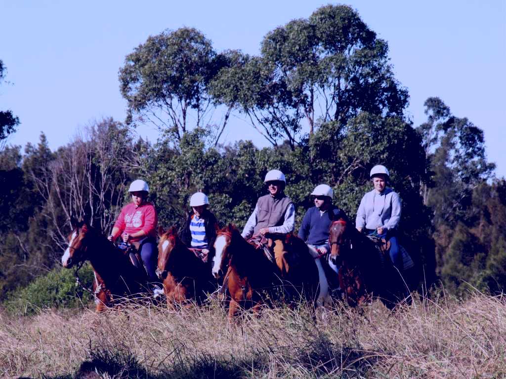 SubjectCoach | Sydney Trail Riding Centre