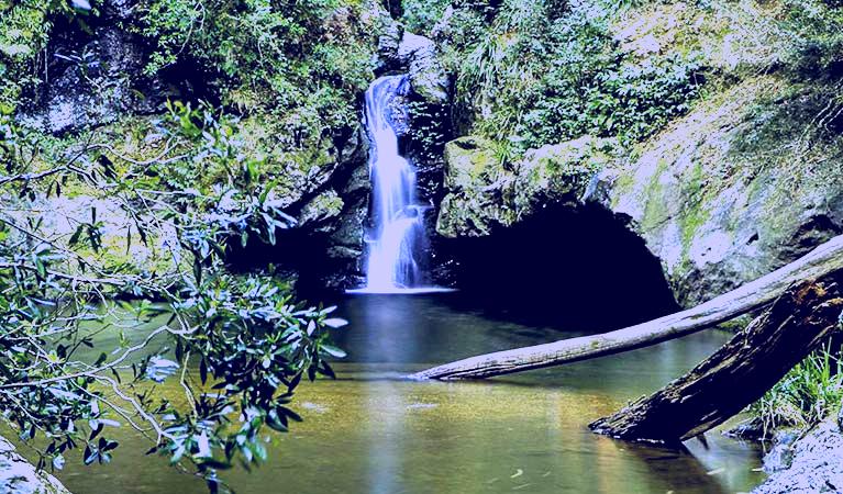 SubjectCoach | Tapin Tops National Park