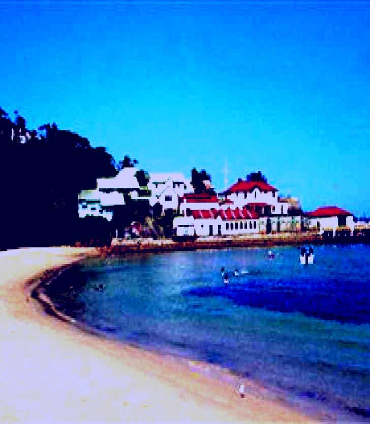 SubjectCoach | Taronga to Balmoral Walk Headland Park