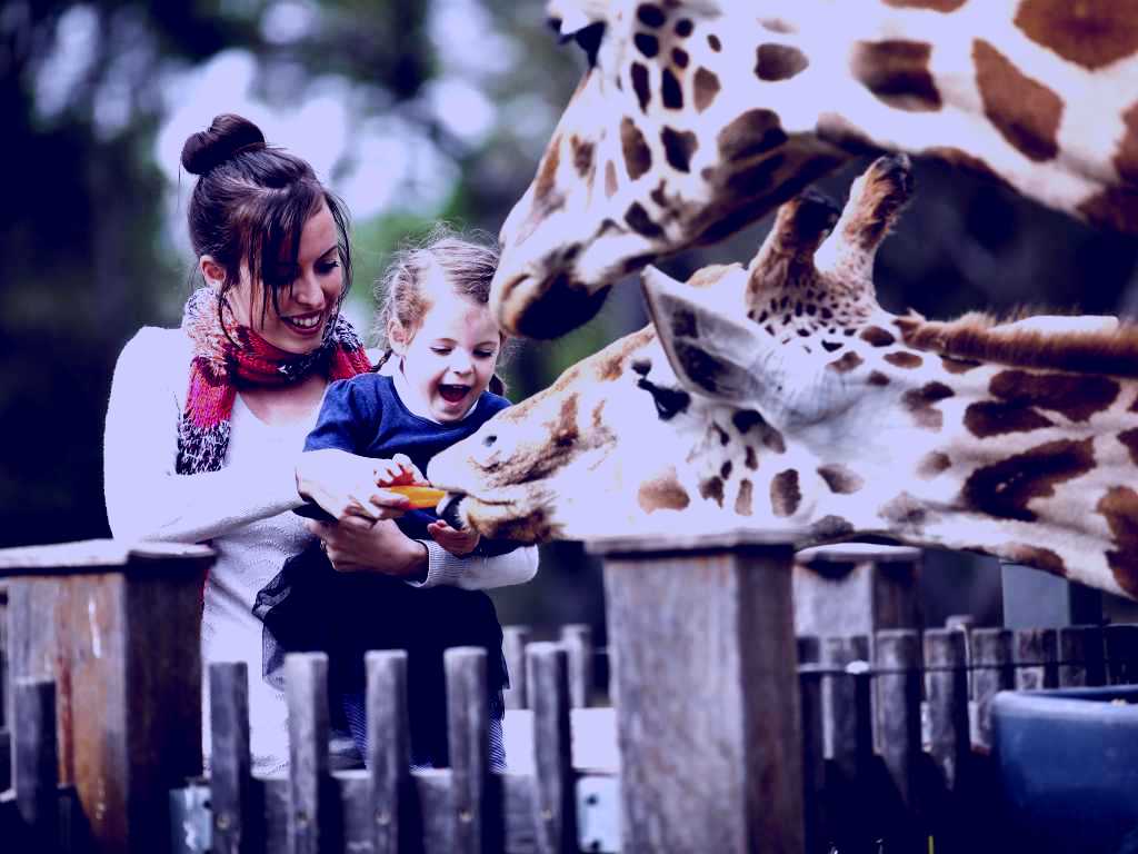 SubjectCoach | Taronga Western Plains Zoo, Dubbo