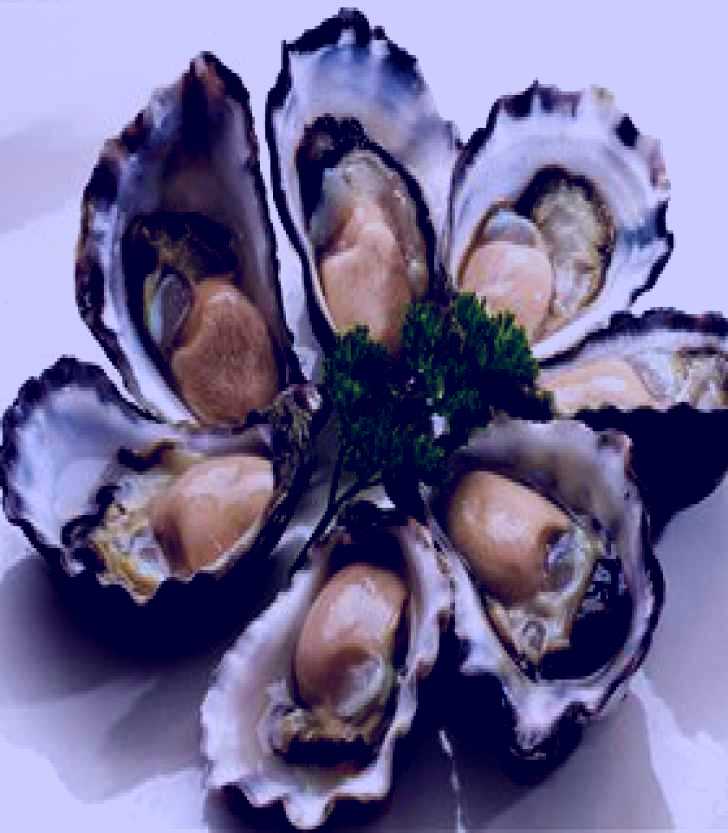 SubjectCoach | Tathra Oysters