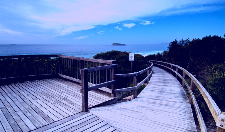 SubjectCoach | Tea Tree picnic area and lookout