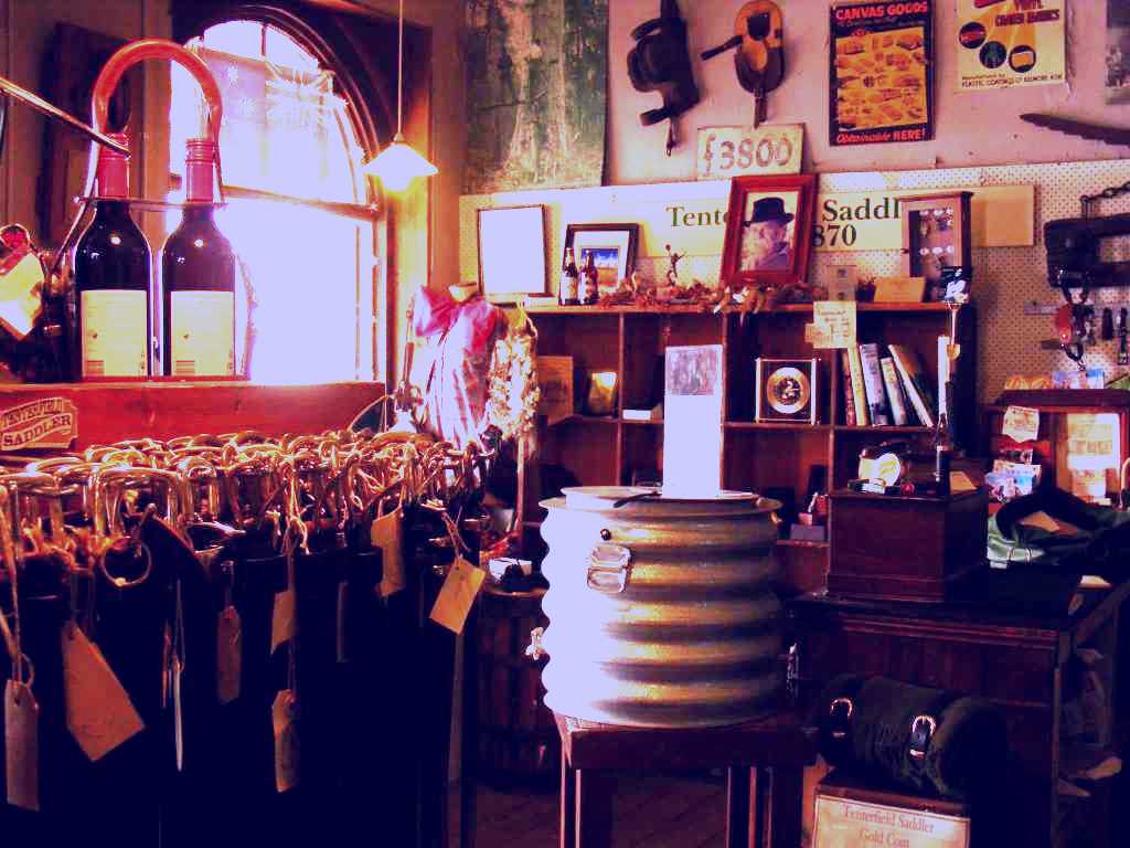 SubjectCoach | Tenterfield Saddler