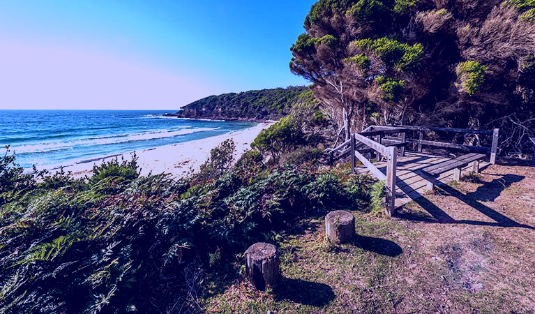 SubjectCoach | Terrace Beach and Lennards Island