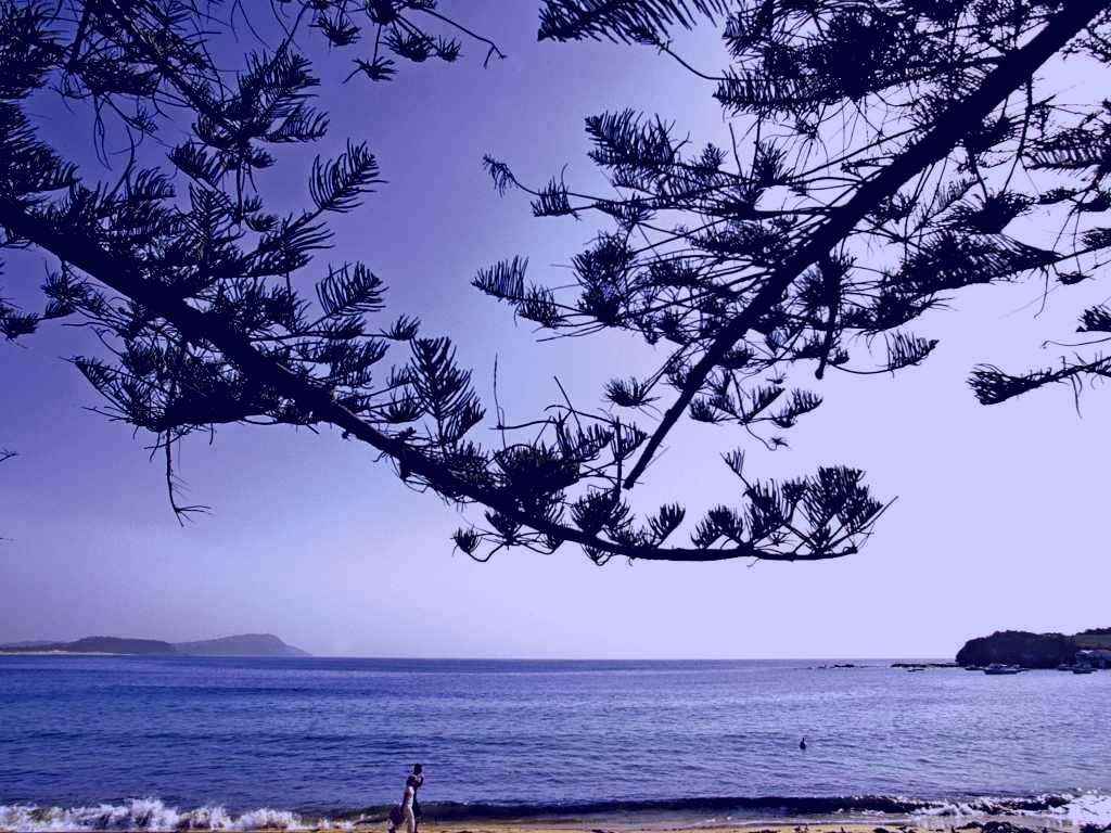 SubjectCoach | Terrigal Beach