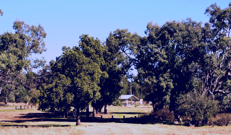 SubjectCoach | Terry Hie Hie Aboriginal Area