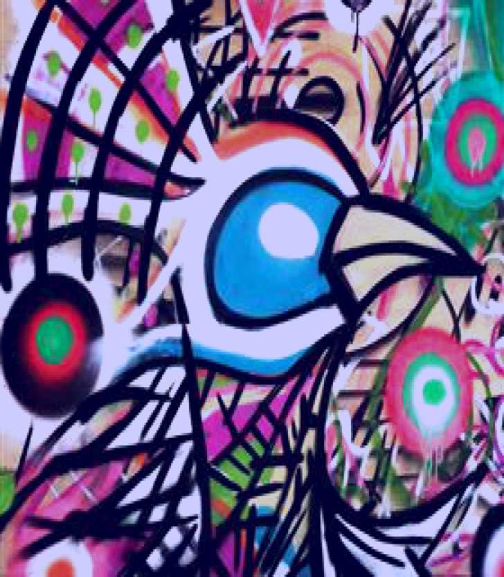 SubjectCoach | The Back Alley Gallery