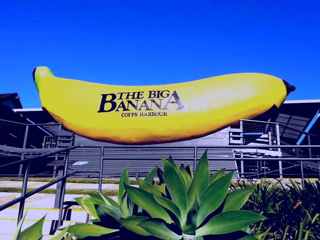 SubjectCoach | The Big Banana
