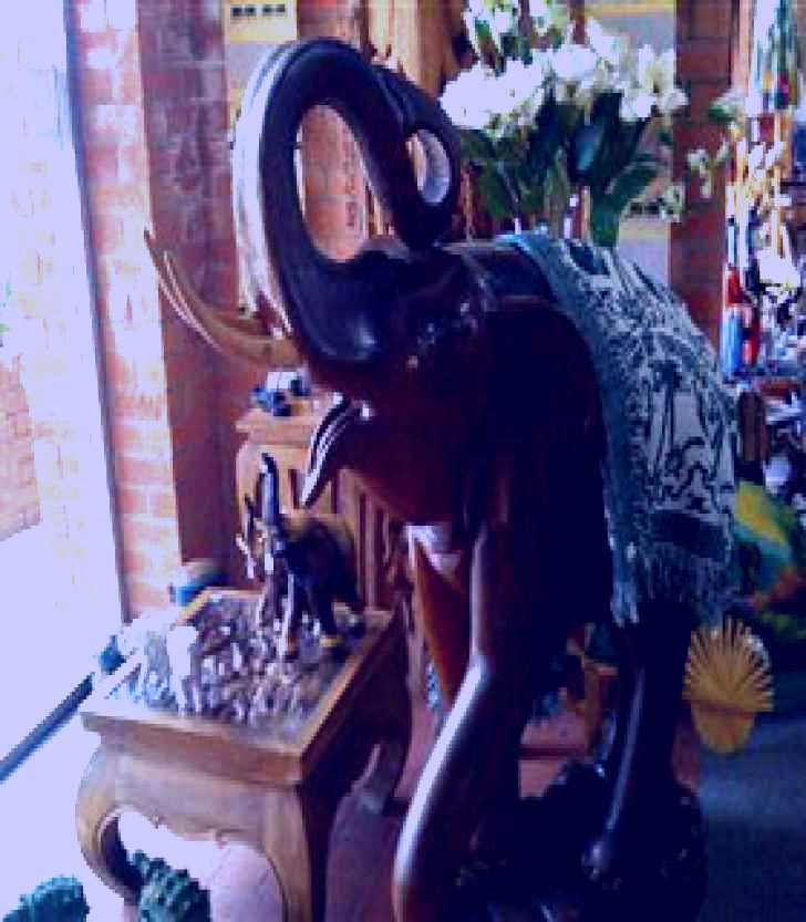 SubjectCoach | The Elephant Shop