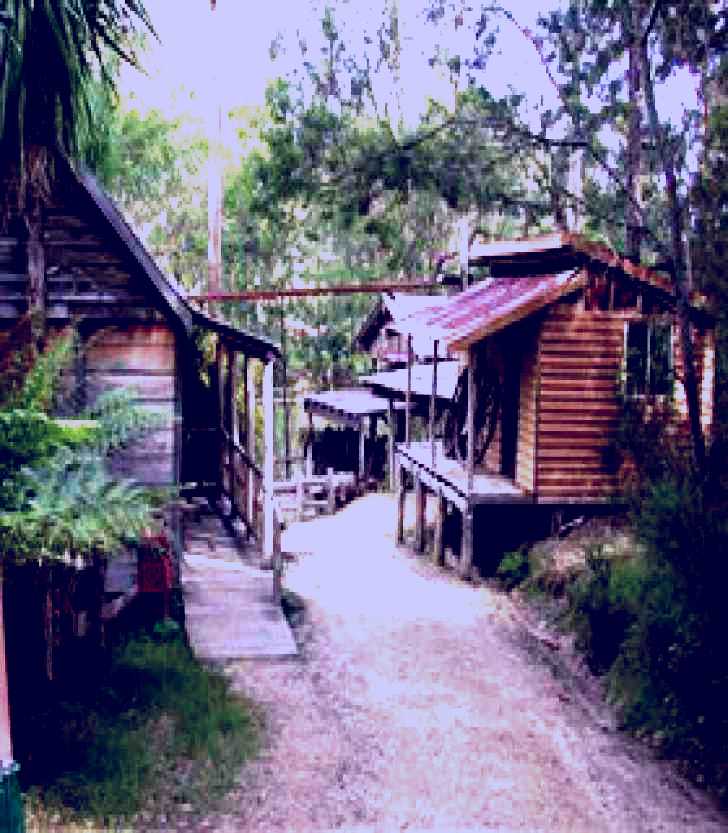 SubjectCoach | The Original Gold Rush Colony