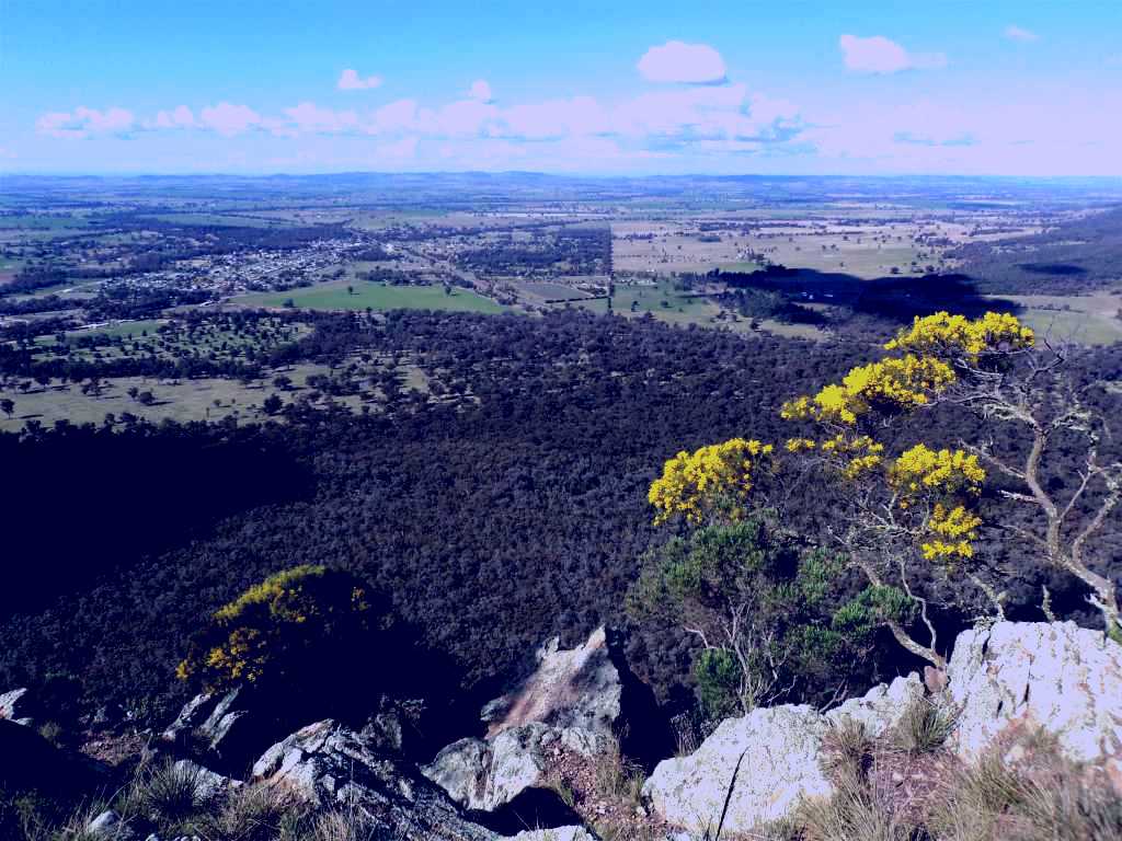 SubjectCoach | The Rock Nature Reserve