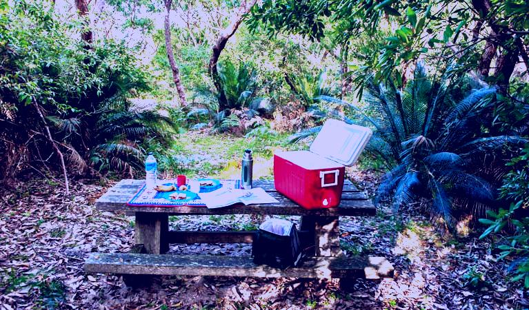 SubjectCoach | The Rock picnic area