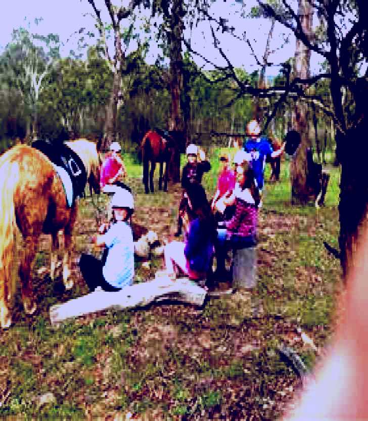 SubjectCoach | The Saddle Camp