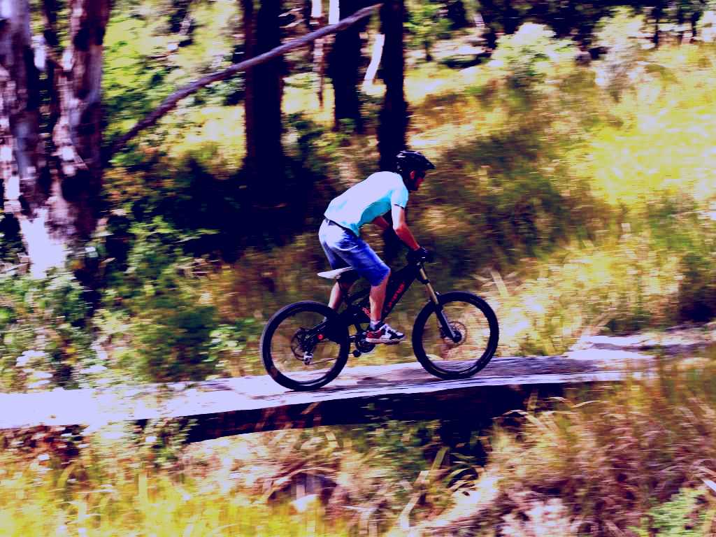 SubjectCoach | The Steps Mountain Bike Park