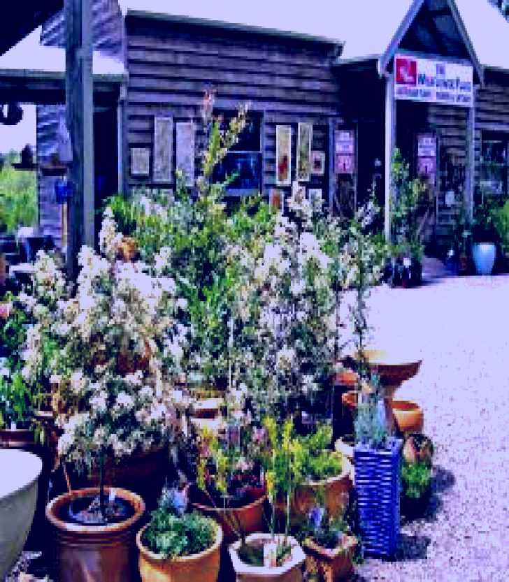 SubjectCoach | The Wildflower Place