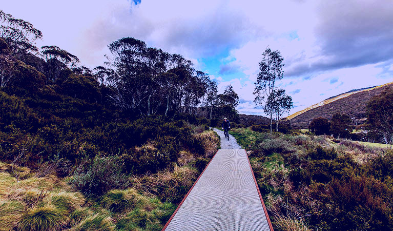 SubjectCoach | Thredbo Valley track