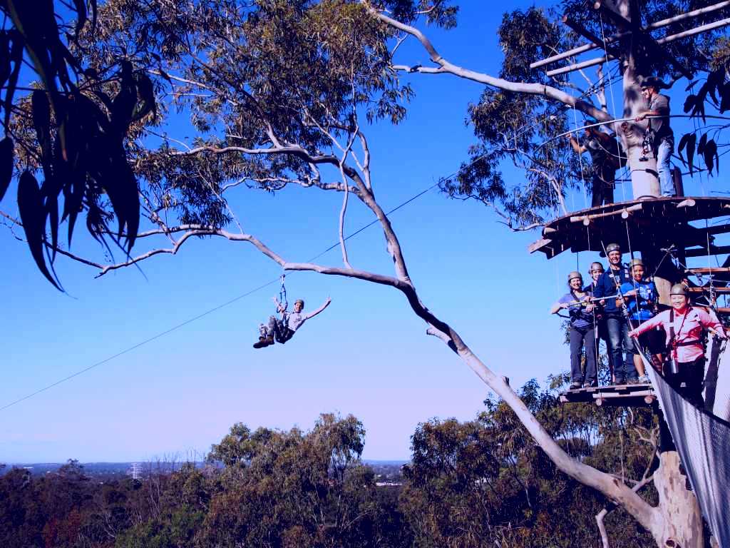 SubjectCoach | TreeTop Safari