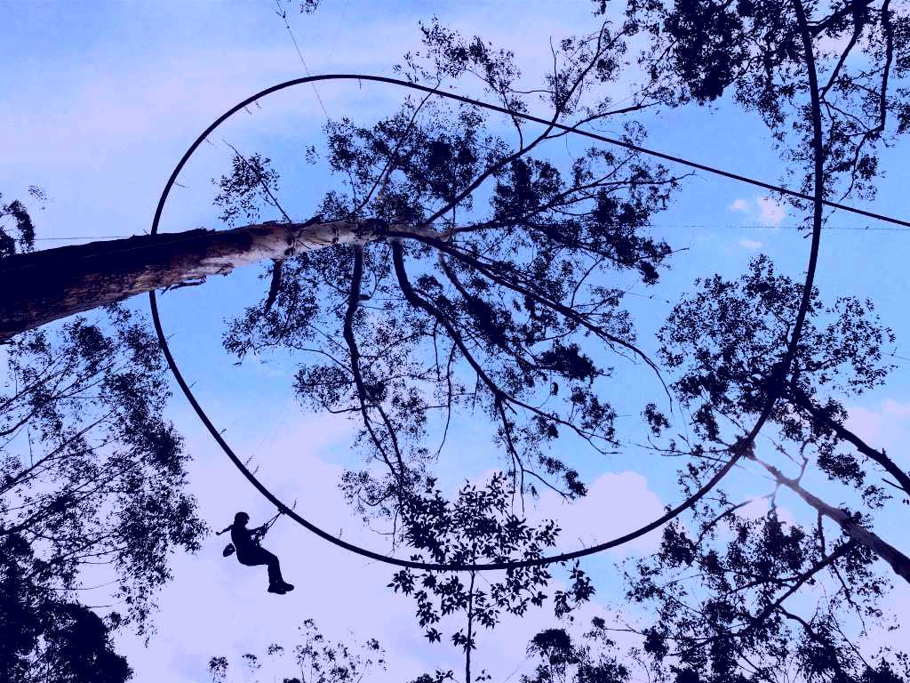 SubjectCoach | TreeTops Crazy Rider