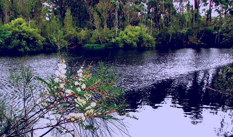 SubjectCoach | Wallingat National Park