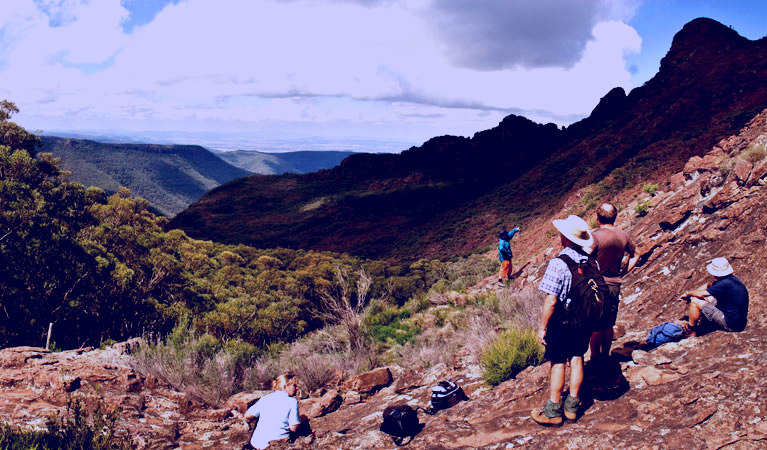 SubjectCoach | Yulludunida walking track
