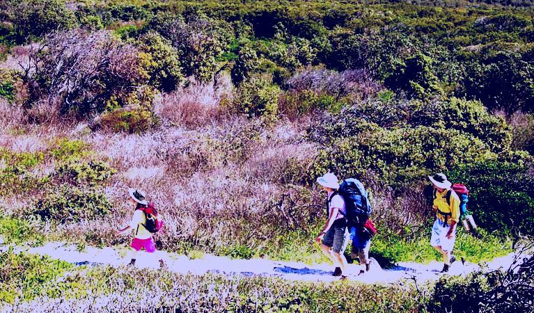 SubjectCoach | Yuraygir coastal walk