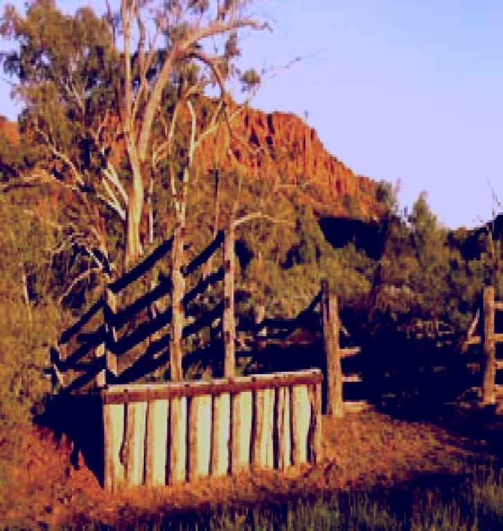 SubjectCoach | Illamurta Springs Conservation Reserve