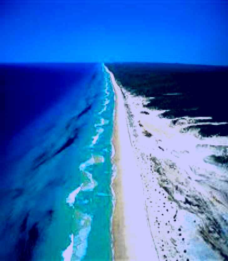 SubjectCoach | 75 Mile Beach