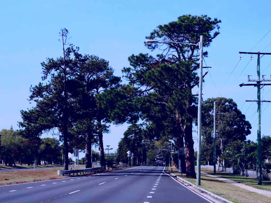 SubjectCoach | Anzac Memorial Avenue, Redcliffe