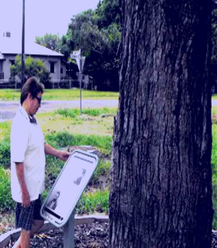 SubjectCoach | Augathella Kenniff Tree
