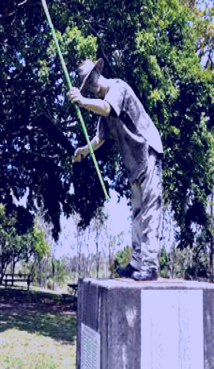 SubjectCoach | Cane Cutter Memorial