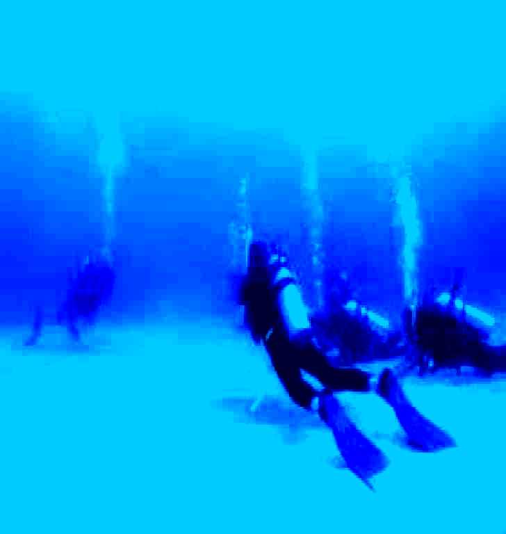 SubjectCoach | Child Island Dive Site