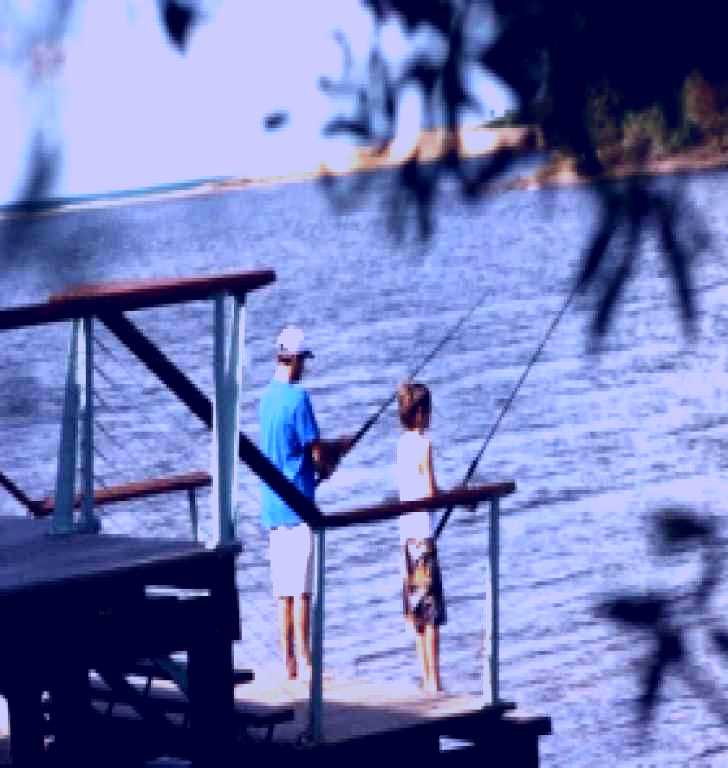 SubjectCoach | Currimundi Lake (Kathleen McArthur) Conservation Park