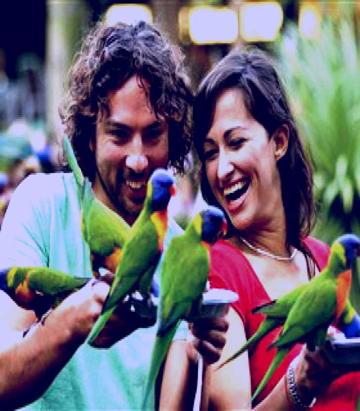 SubjectCoach | Currumbin Wildlife Sanctuary