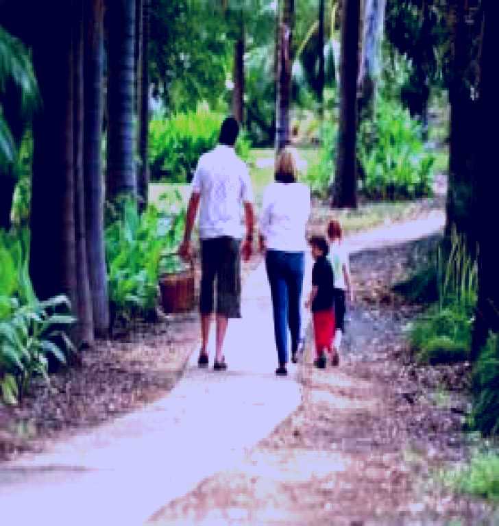 SubjectCoach | Emerald Botanic Gardens