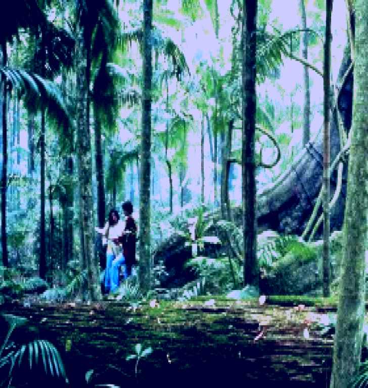 SubjectCoach | Illinbah circuit