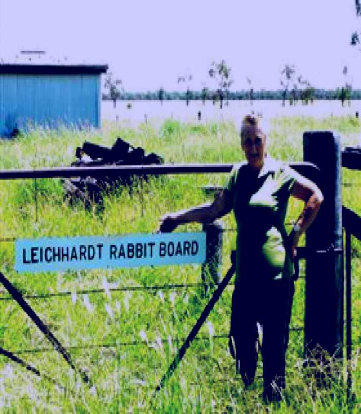 SubjectCoach | Morven Rabbit Board Gate