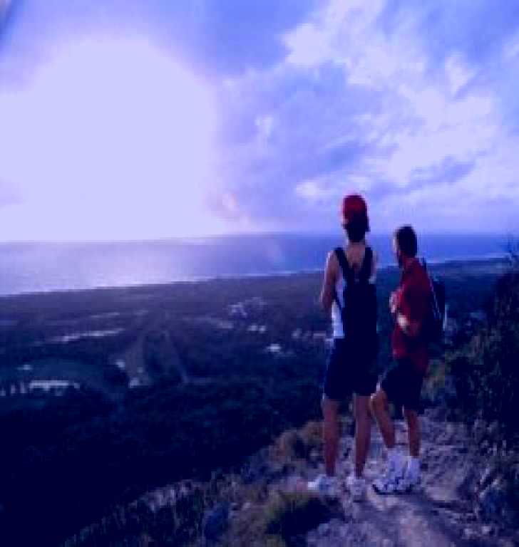 SubjectCoach | Mount Coolum National Park