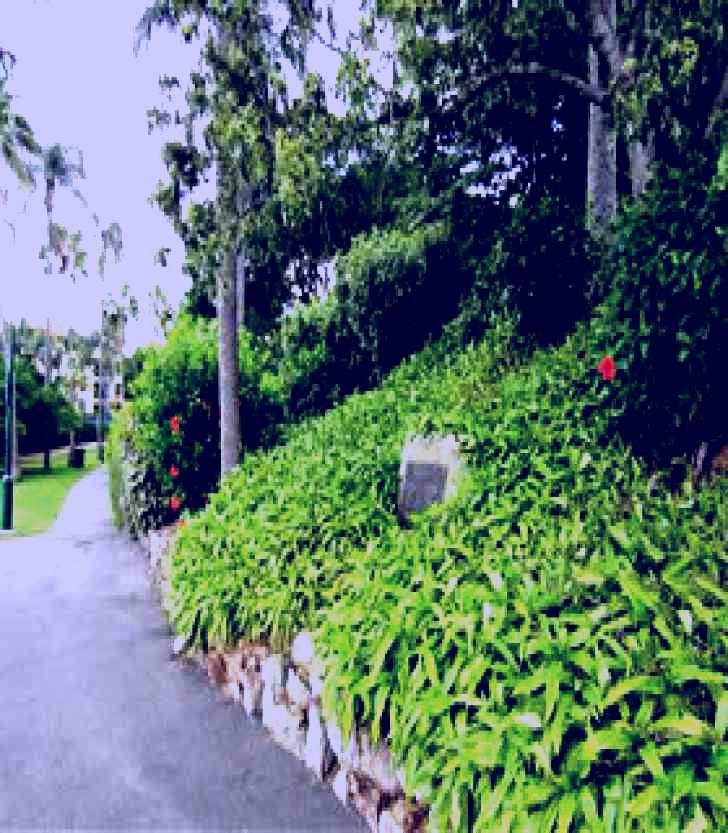 SubjectCoach | Newstead Park Memorials